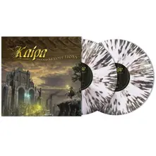 Vinyl MINDREVOLUTIONS