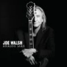 Joe Walsh, CD ANALOG MAN