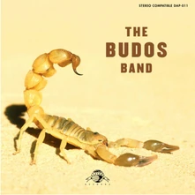 The Budos Band, Vinyl II