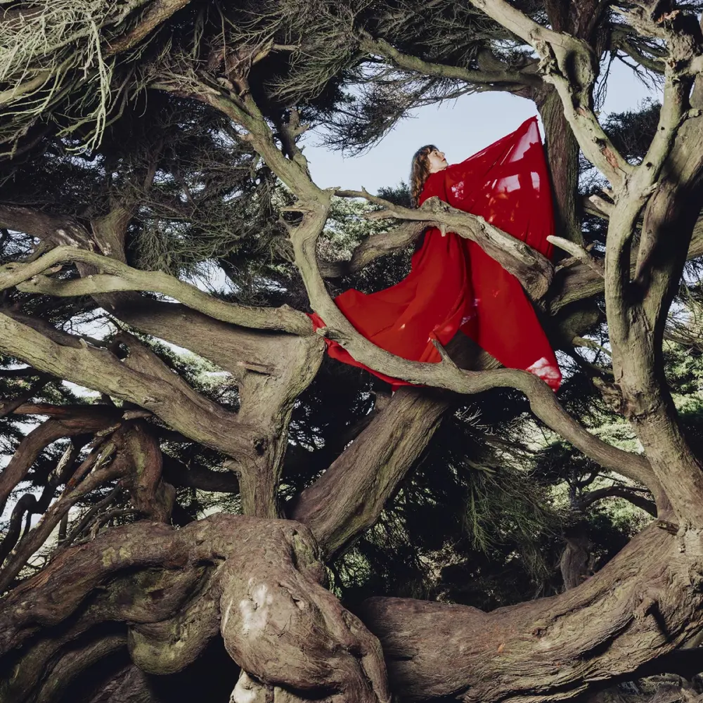 Hannah Frances – NESTED IN TANGLES (Red Vinyl) (Vinyl)