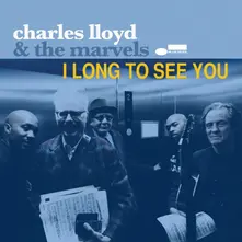 & The Marvels - I Long To See You thumbnail