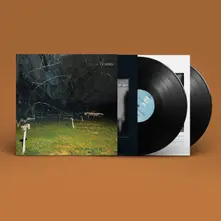 Vinyl THIS STUPID WORLD