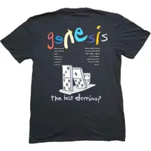 The Last Domino? thumbnail