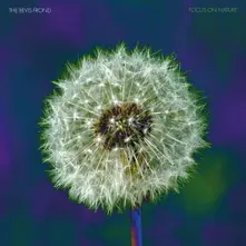 CD FOCUS ON NATURE