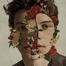 Shawn Mendes, CD SHAWN MENDES