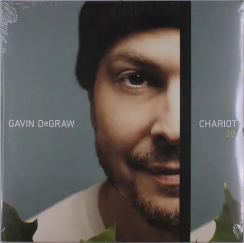 Gavin DeGraw – Vinyl Chariot 20