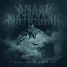 Vinyl ANAAL NATHRAKH - IN THE CONSTELLATION OF THE BLACK WIDOW