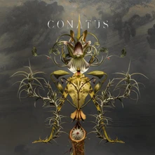 CD BEVING JOEP - CONATUS