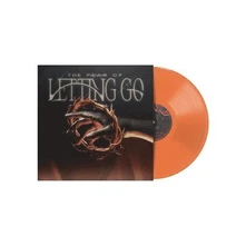 Hollow Front, Vinyl FEAR OF LETTING GO