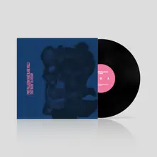 Pino Palladino & Blake Mills, Vinyl THAT WASN'T A DREAM