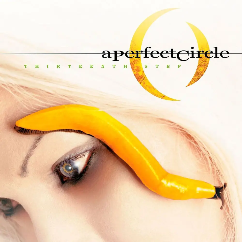 A Perfect Circle – THIRTEENTH STEP (CD)