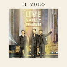Vinyl Live At the Valley of the Temples