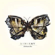 FARBRAUM DUO, CD MIMIKRY