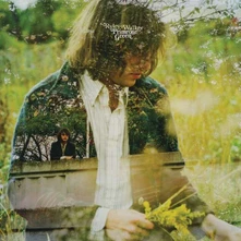 Ryley Walker, CD WALKER, RYLEY - PRIMROSE GREEN