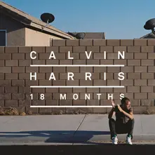 Vinyl 18 Months