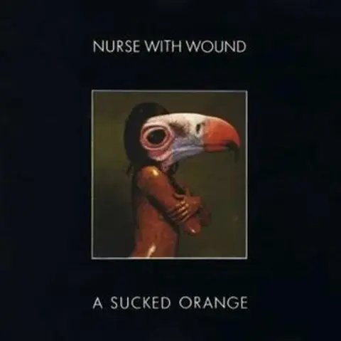Nurse with Wound – Vinyl A SUCKED ORANGE