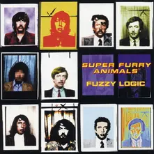 FUZZY LOGIC (20TH ANNIVERS thumbnail