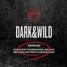 BTS, CD VOL.1 (DARK & WILD)