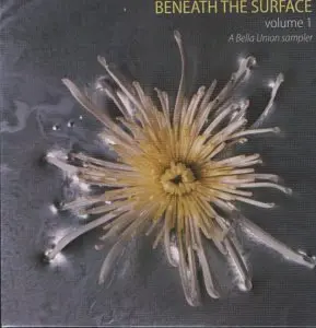 Various Artists – BELLA UNION SAMPLER (CD)