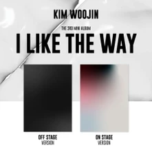 CD I Like the Way