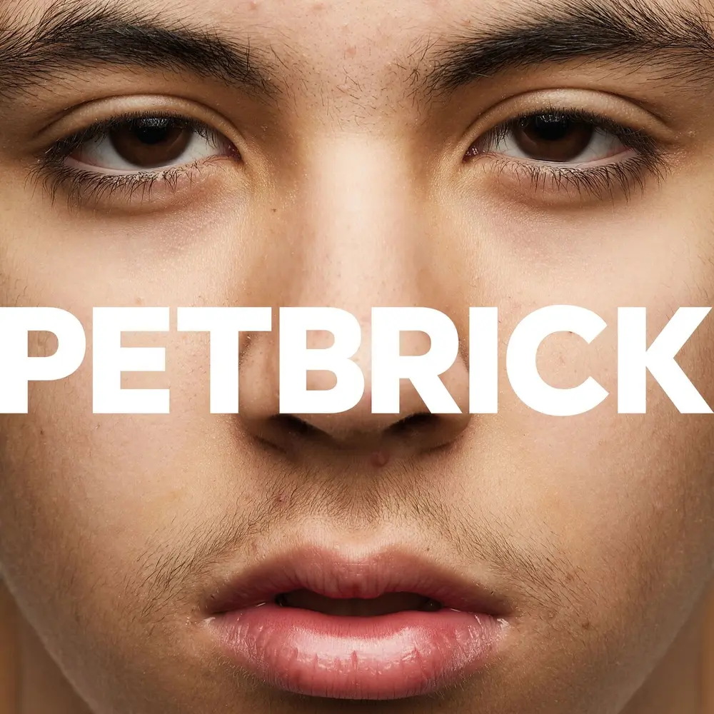 PETBRICK – I (Vinyl)