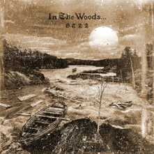 In the Woods..., CD OTRA