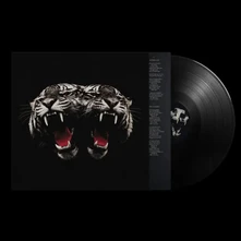 Royal Blood, Vinyl DEAD COMPANY
