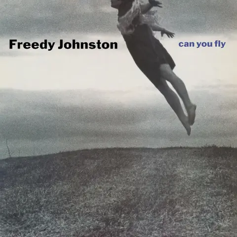 CAN YOU FLY