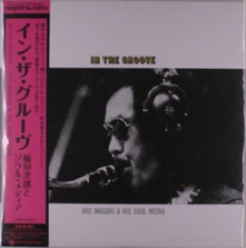 Vinyl IN THE GROOVE