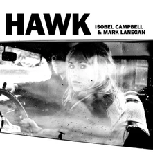 Vinyl HAWK