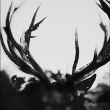 CD IHSAHN