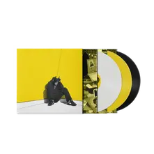 Vinyl Boy in the Corner (20th Anniversary Edition)