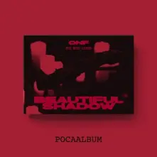 BEAUTIFUL SHADOW thumbnail