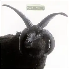 CD LIVE AT MARQUEE 1991