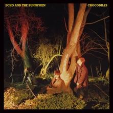 Echo & the Bunnymen, CD CROCODILES