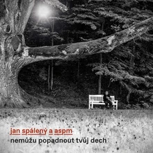 Jan Spálený & ASPM, CD Nemůžu popadnout tvůj dech
