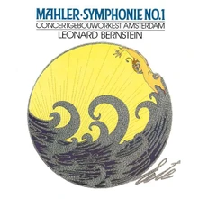Vinyl SYMFONIE 1