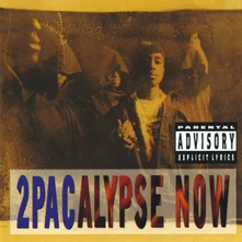 Vinyl 2Pacalypse Now