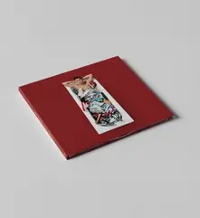 Vinyl TWEE STAPPEN VOOR