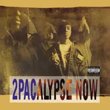 Vinyl 2Pacalypse Now