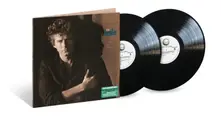 Vinyl Building The Perfect Beast