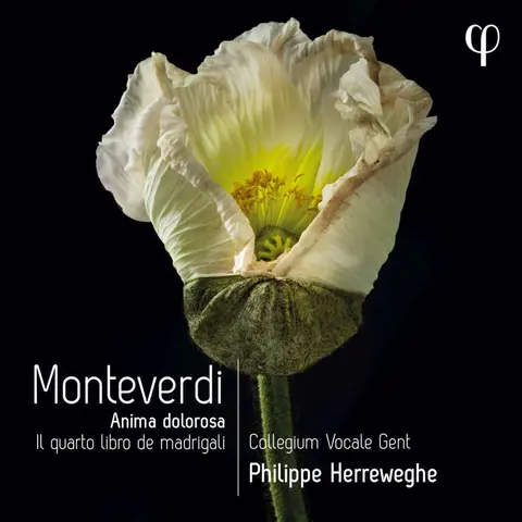 MONTEVERDI: IL QUARTO LIBRO DE MADRIGALI
