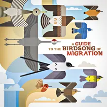 CD A GUIDE TO THE BIRDSONG OF MIGRATION