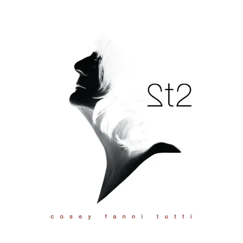 Cosey Fanni Tutti – Vinyl 2T2