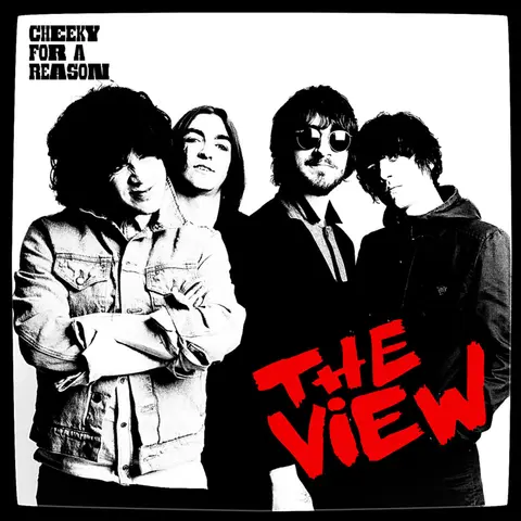 VIEW - CHEEKY FOR A REASON