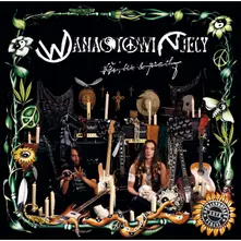 Wanastowi vjecy – LZI, SEX A PRACHY (Vinyl)