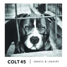 Colt 45, CD SNAKES & LADDERS