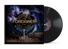Vinyl IN THE EYE OF THE STORM