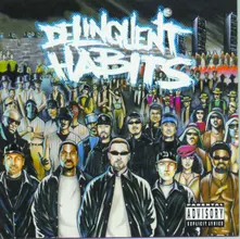 Vinyl Delinquent Habits