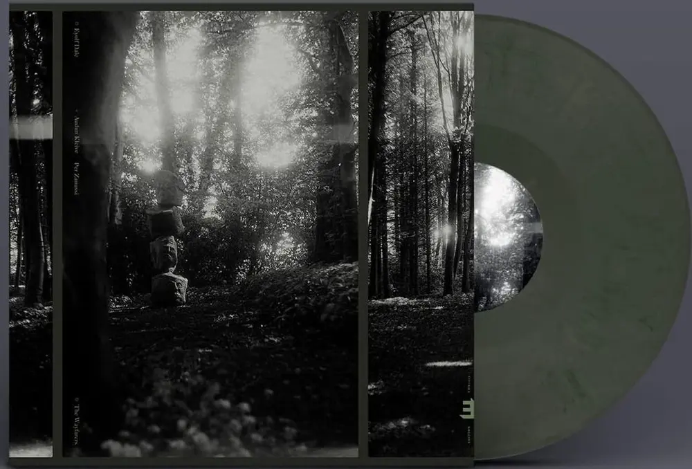 Eyolf Dale – WAYFARERS (Vinyl)